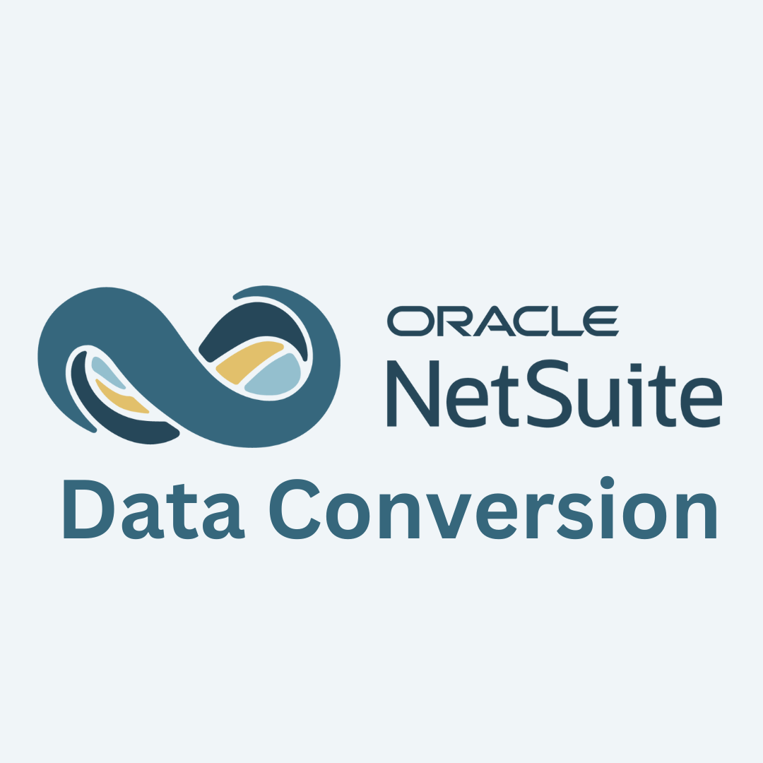 NetSuite Data Recovey Service