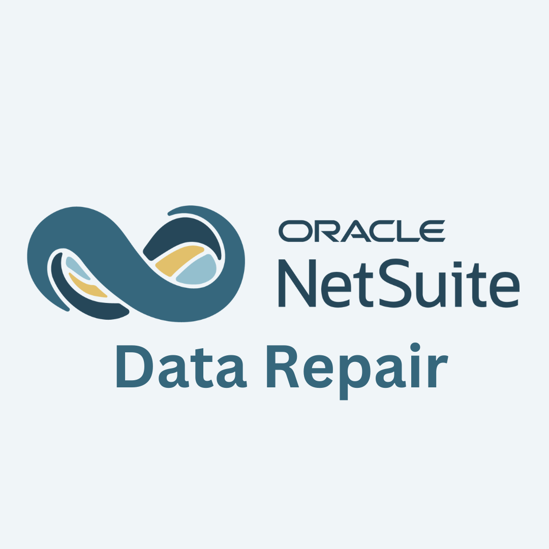 NetSuite Data Recovey Service