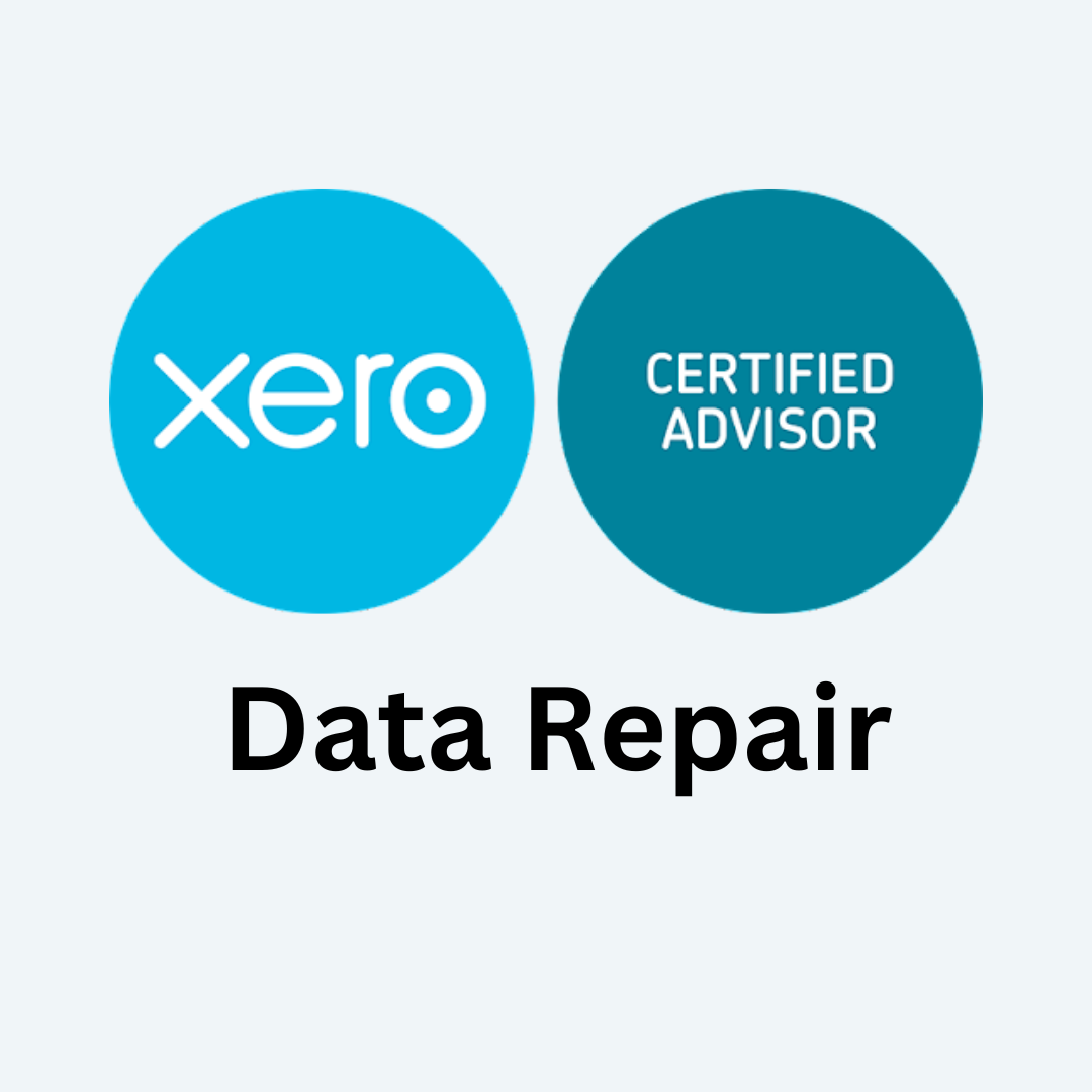 xero data repair service
