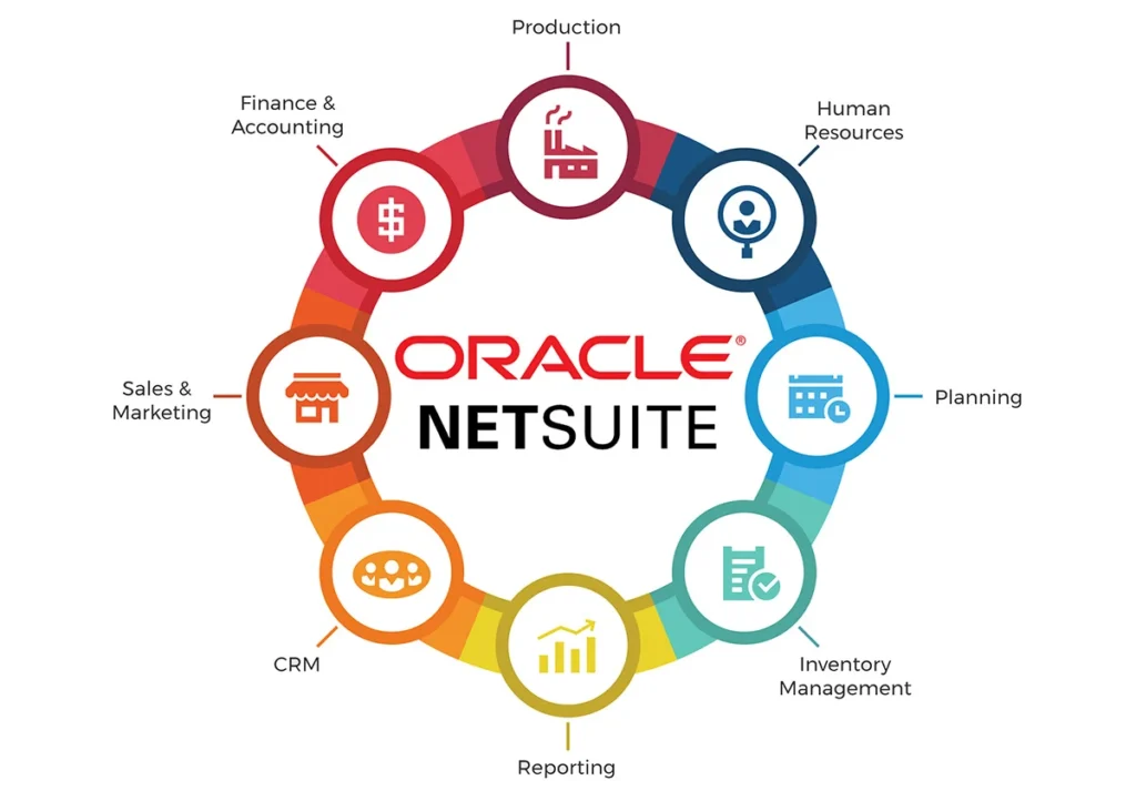 netsuite data recovery service